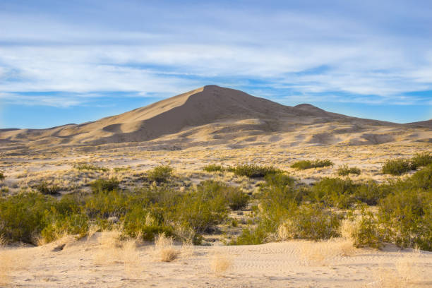 istock Desert Sand Dunes and Cactus Landscape 960955572