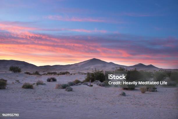 Desert Sand Dunes And Cactus Landscape At Sunset And Sunrise Stock Photo - Download Image Now