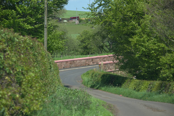 istock Bridge on a country road 960959646