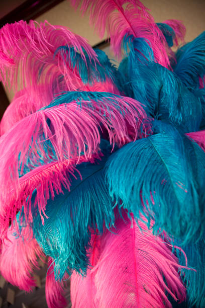 istock Hot Pink and Turquoise Feathers 960966846