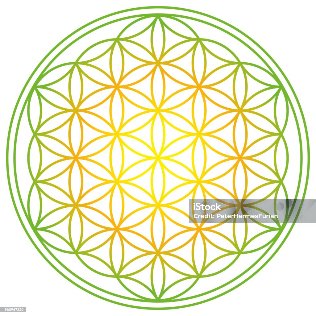 Flower of Life with spring energy colors Flower of Life with spring energy colors. Geometrical figure, spiritual symbol and Sacred Geometry. Overlapping circles forming a flower like pattern with symmetrical structure. Illustration. Vector. Flower stock vector
