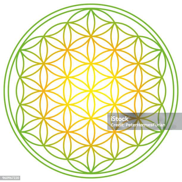 Flower Of Life With Spring Energy Colors Stock Illustration - Download Image Now - Flower, Sacred Geometry, Abstract