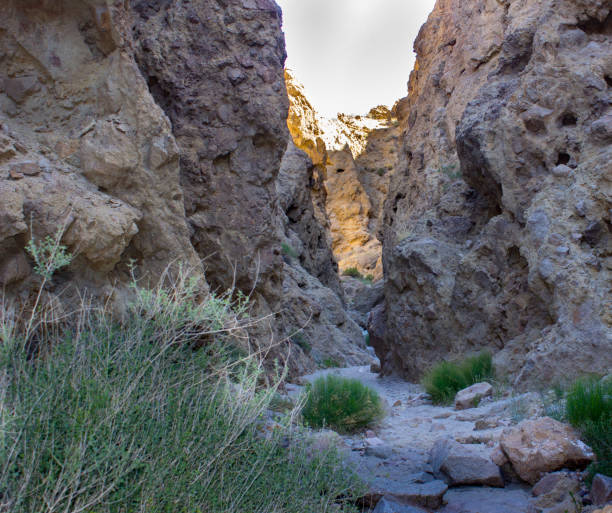 istock Rainbow Basin Mojave Desert Slot Owl Canyon 960968914