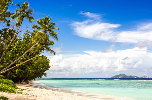 istock Idyllic scenery of sandy beach in the Seychelles 960971664