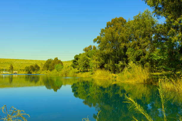 istock natural lakes and green trees 960976692
