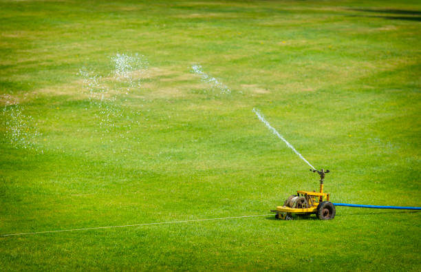 istock Sprinkler on the lawn in sunlight 960977398