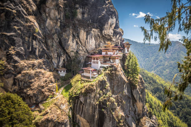 gniazdo tygrysów - taktsang monastery obrazy zdjęcia i obrazy z banku zdjęć