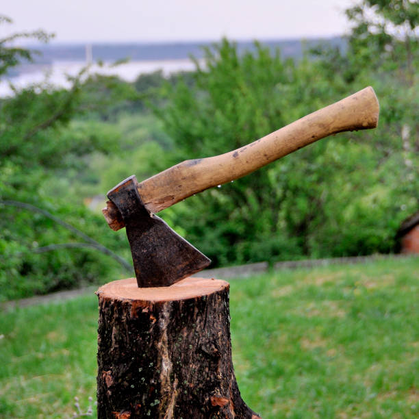 istock The ax is sticking out from a log. The ax head close up view 960985688