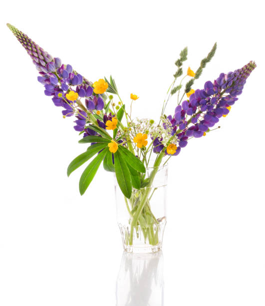 istock Bouquet of wild flowers on a white background 960991994