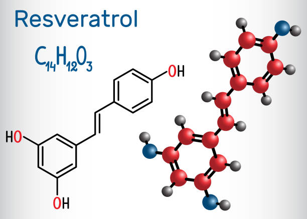 illustrazioni stock, clip art, cartoni animati e icone di tendenza di molecola di resveratrolo. è fenolo naturale, fitoalossina, antiossidante. formula chimica strutturale e modello molecolare - anticancer