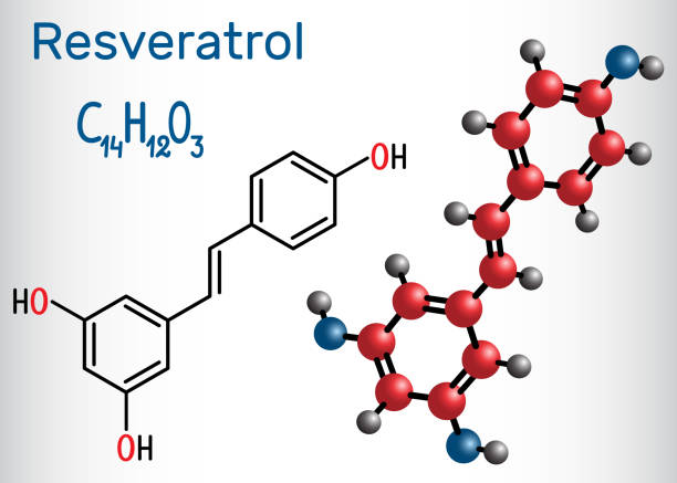resveratrol의 분자 그것은 천연 페 놀, 파이토알렉신, 항 산화입니다. 구조 화학 공식 및 분자 모델 - anticancer stock illustrations