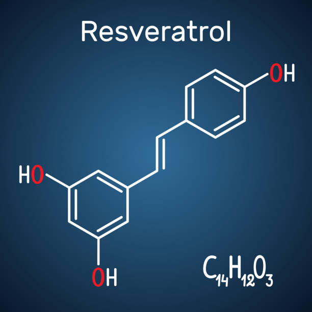 resveratrol의 분자 그것은 천연 페 놀, 파이토알렉신, 항 산화입니다. 진한 파란색 배경에 구조 화학 공식 및 분자 모델 - anticancer stock illustrations