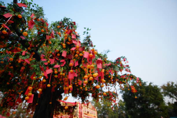 Chinese Wish festival