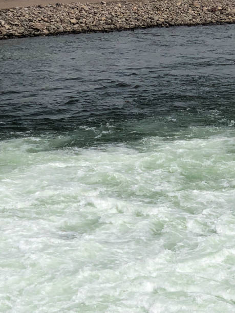 Enjoy nature at its finest - snowy, green pine trees, and icy water - at Grand Teton National Park in Wyoming