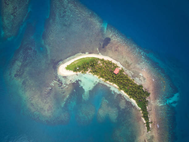 istock Tropical island on coral reef 961017062