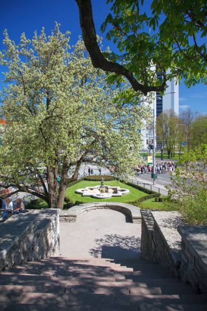 istock Old Town, Tallinn Estonia 961017336