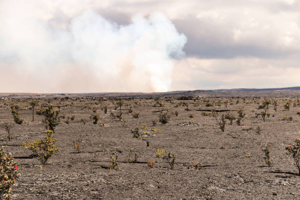 istock Kilauea main crater and caldera view, Big Island, Hawaii 961021064
