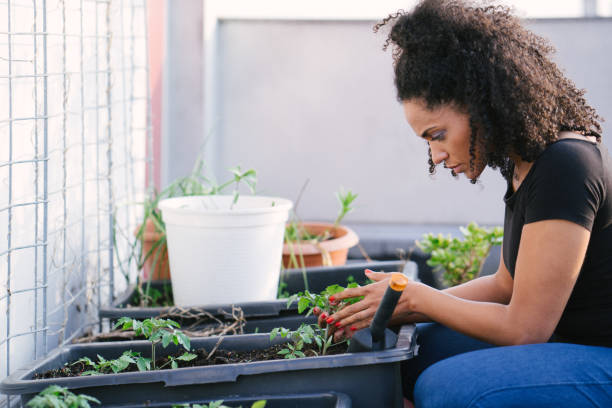 istock Young beautiful woman gardening 961032328