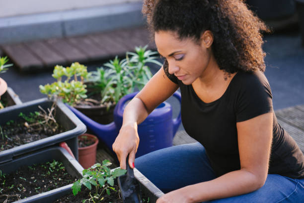 istock Young beautiful woman gardening 961034532