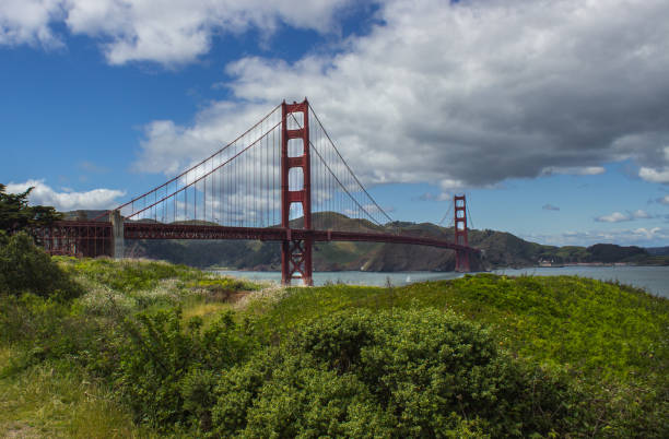 istock Golden Gate Bridge San Francisco with Wildflowers 961035810
