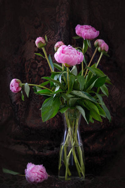 Flower still life with pink pionies in the vase on the pattern background stock photo