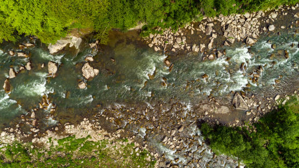 istock Aerial view of mountain river in summer. 961047004