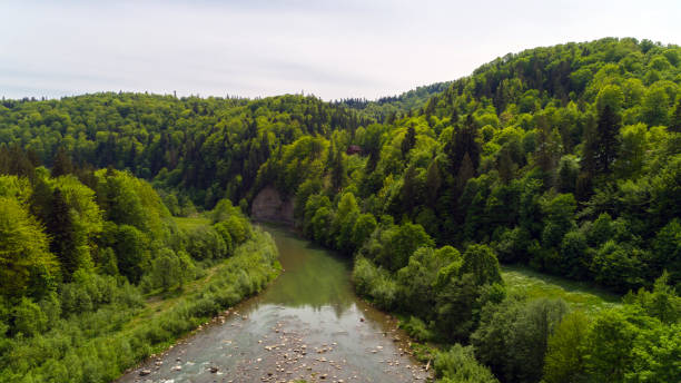 istock Aerial view of mountain river in summer. 961047008