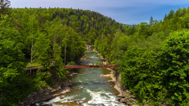 istock Aerial view of mountain river in summer. 961047018