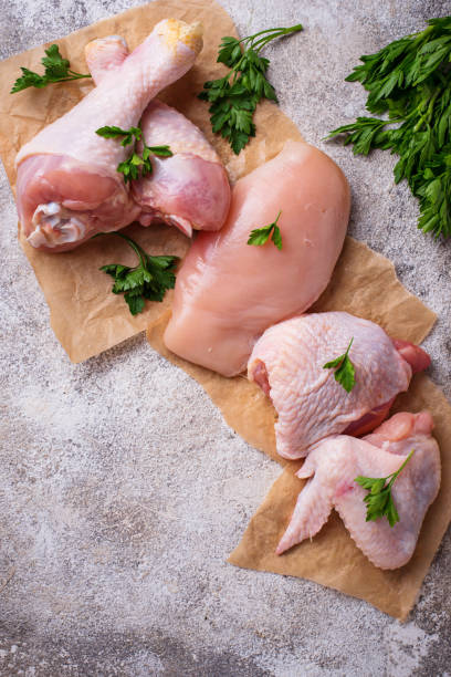 Raw chicken meat fillet, thigh, wings and legs