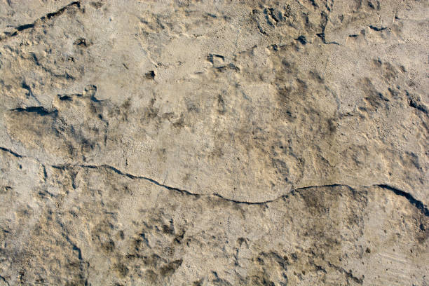 istock Crack concrete textured as abstract grunge background 961065250