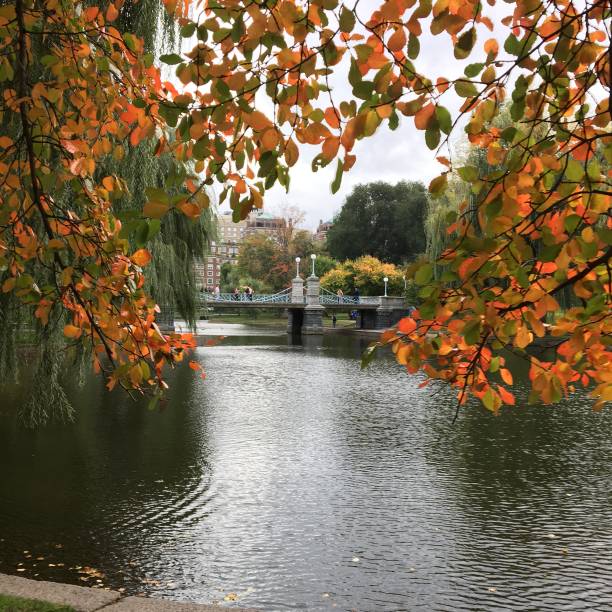 istock Autumn on Boston Publik Garen 961066754