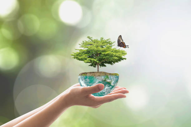 planting tree on green globe for arbor day, world environment conservation and csr concept: elements of this image furnished by nasa - sustainable life imagens e fotografias de stock