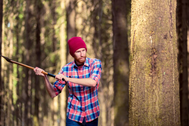 istock the lumberjack swung his ax to cut a tree into the forest 961081068