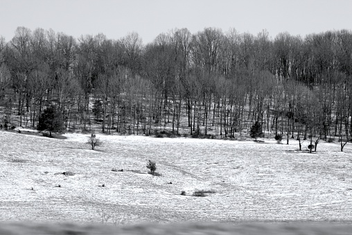 Winter Forest collides with Farmland