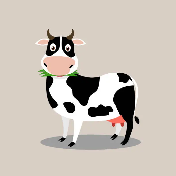 Vector illustration of Cute cow character cartoon eat grass - Vector illustration