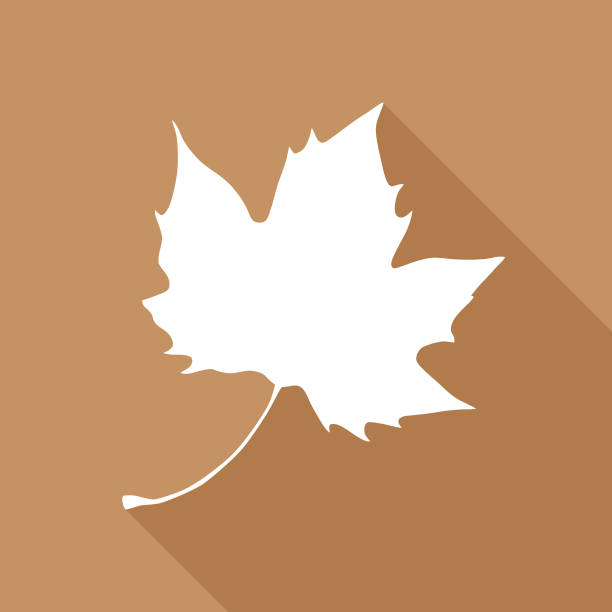갈색 단풍 잎 아이콘 - 단풍 잎 stock illustrations
