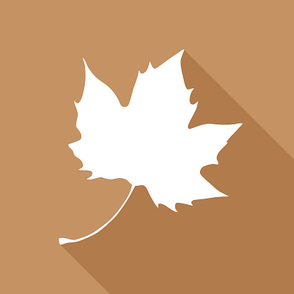 Vector illustration of a white maple leaf on a brown background.