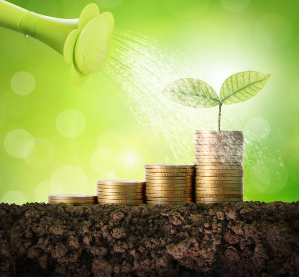 istock Coins graph stock market 961125780