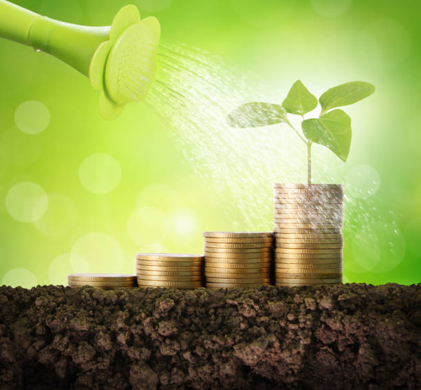 istock Coins graph stock market 961125784