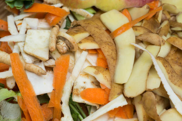 istock rotting kitchen fruits and vegetable waste for compost 961150520