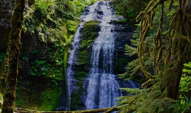 West-Central Oregon's Cascade Range.
Willamette National Forest/SW.
Bridge Creek Alcove.
Secret Falls.