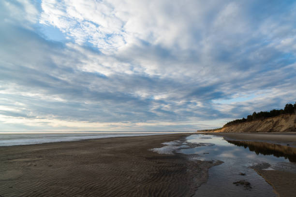 istock Spring landscape at the Ob reservoir. 961159648