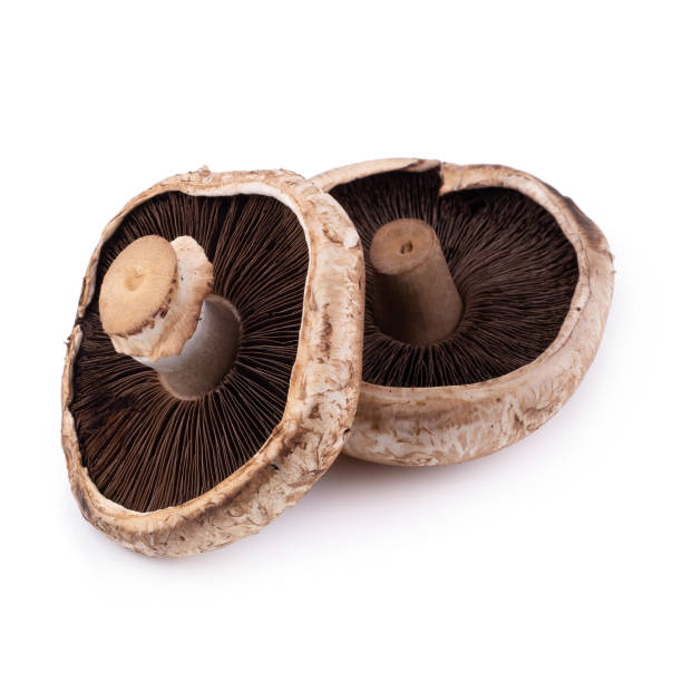 istock Portobello mushrooms isolated on a white background 961166598