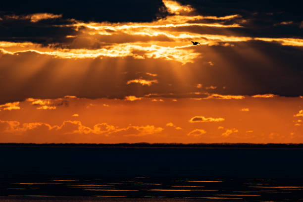 Last rays of setting sun painted sky in yellow and orange colors. Beautiful sunset over the Ob Sea. Russia, Siberia, the Novosibirsk Region.