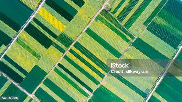 Vogelperspektive Von Ackerland Stockfoto und mehr Bilder von Luftaufnahme - Luftaufnahme, Feld, Landwirtschaft