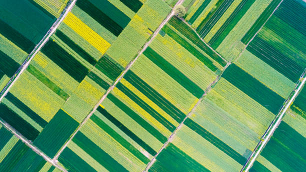 bird's eye view of farmland aerial view of  farmland in spring cultivated land stock pictures, royalty-free photos & images