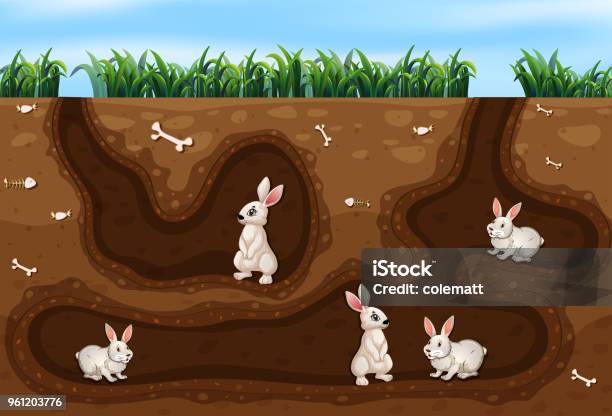 Kaninchenfamilie Leben In Das Loch Stock Vektor Art und mehr Bilder von Bau - Bau, Kaninchen, Loch