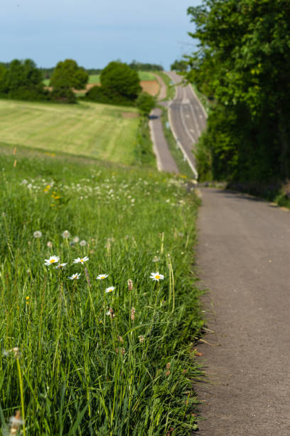 istock bikeway next to road with spring nature 961207482