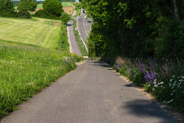 istock bikeway next to road with spring nature 961207498