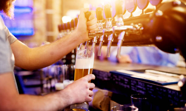 Focused professional bartender pouring draft beer in the modern bar.